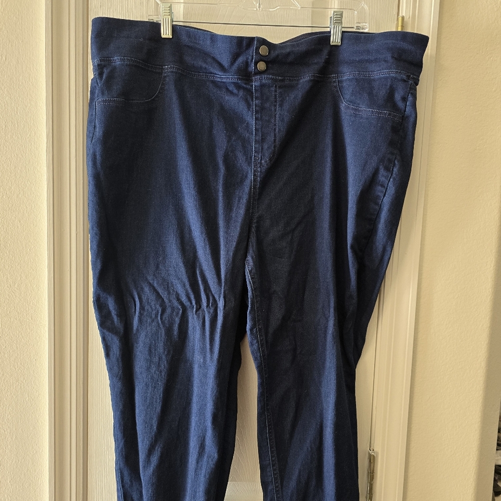 Size 2XL Terra & Sky jeggings